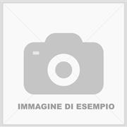 Foto esempio 7