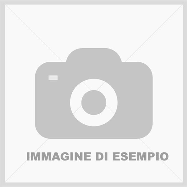 58980551_91090418_foto_tree.jpg